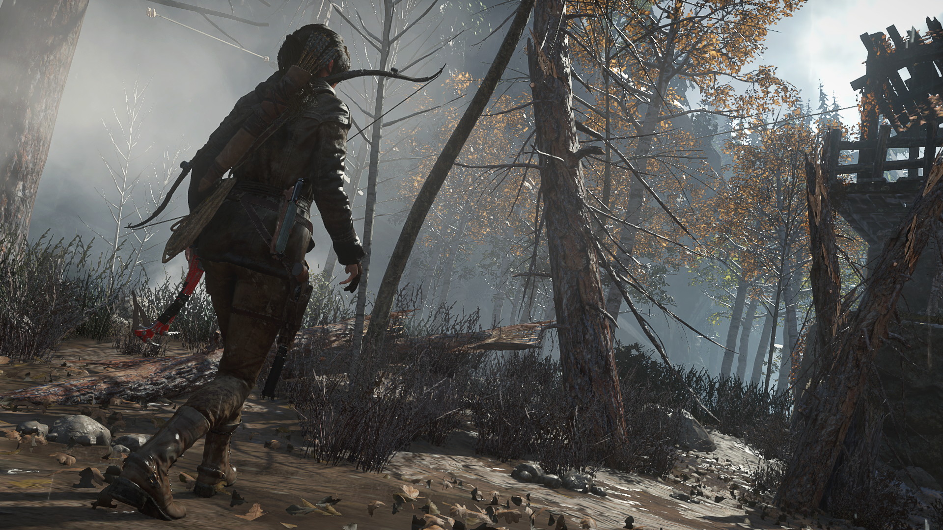 Rise of the Tomb Raider - screenshot 8
