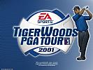 Tiger Woods PGA Tour 2001 - wallpaper
