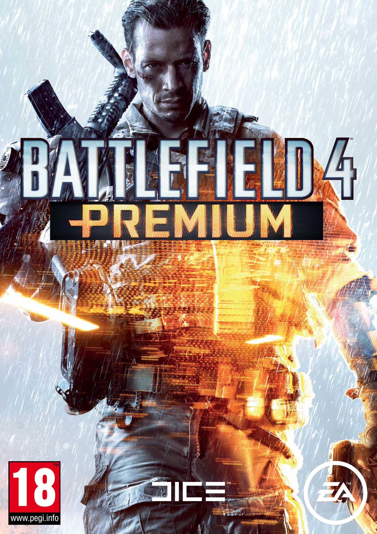 Battlefield 4 - pedn DVD obal 3
