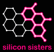 Silicon Sisters - logo