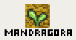 Mandragora - logo