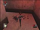 BloodRayne - screenshot #24