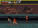 Streets of Rage - screenshot #12