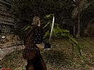 Gothic 2: Night Of The Raven - screenshot #25