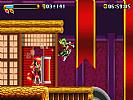 Freedom Planet - screenshot #9