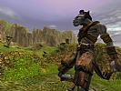 Asheron's Call 2: Fallen Kings - screenshot #20