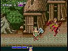 Golden Axe - screenshot #17