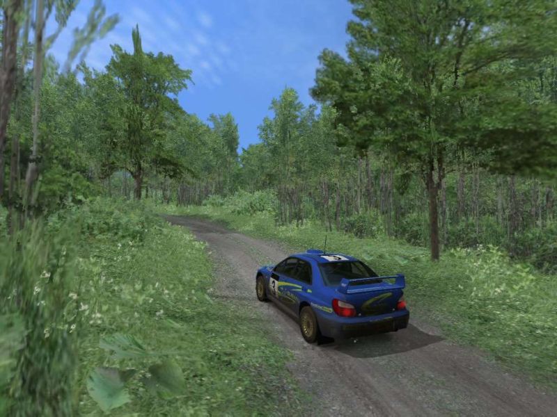 Richard Burns Rally - screenshot 31