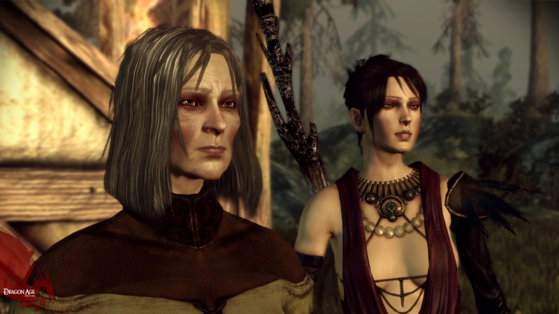 Dragon Age: Origins - screenshot 4