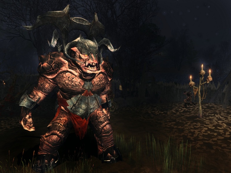 The Lord of the Rings Online: Siege of Mirkwood - screenshot 18