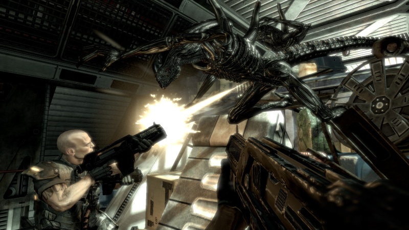 Aliens vs Predator - screenshot 17