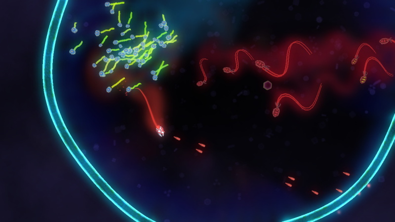 Biology Battle - screenshot 1