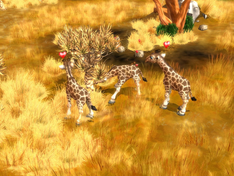 Wildlife Camp: In the Heart of Africa - screenshot 66