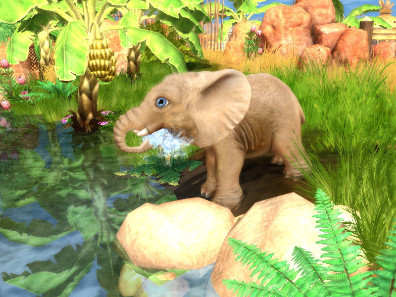 Wildlife Camp: In the Heart of Africa - screenshot 30