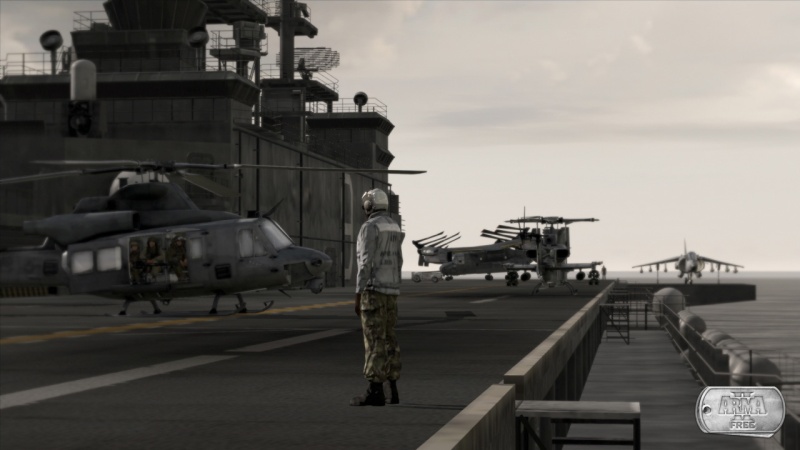 Arma 2: Free - screenshot 2