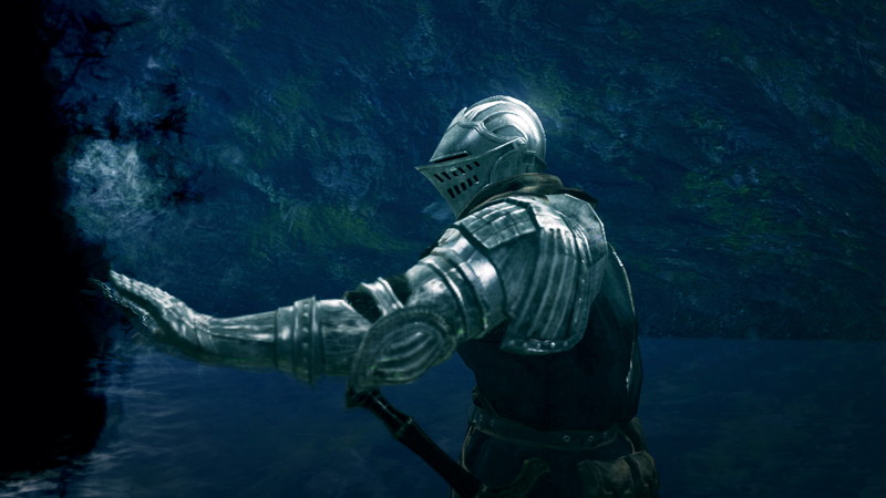 Dark Souls: Prepare To Die Edition - screenshot 20