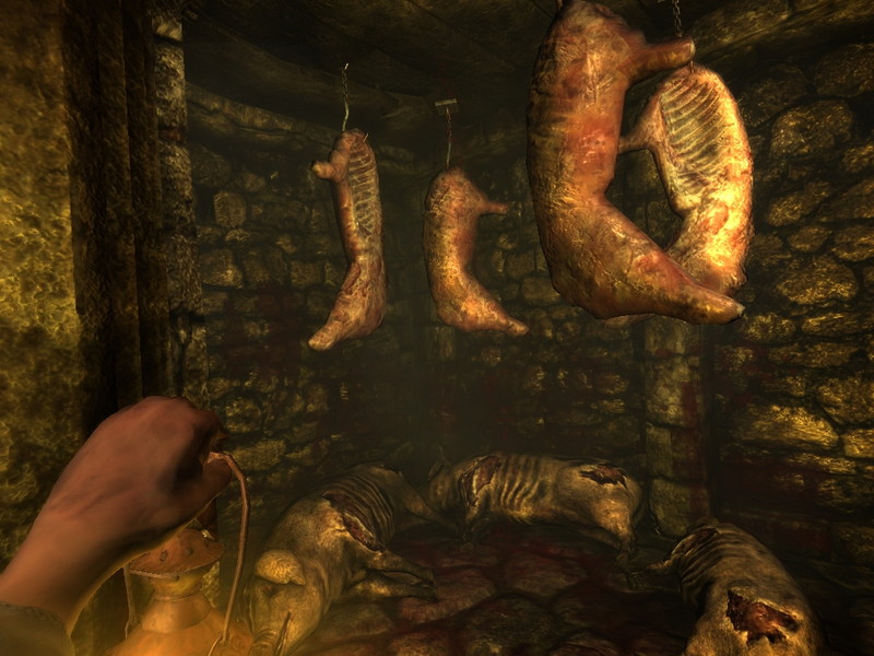 Amnesia: The Dark Descent - screenshot 12