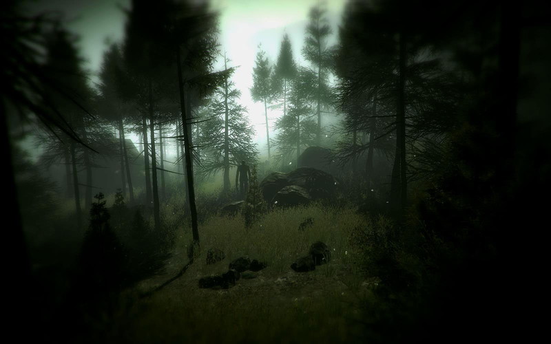 Slender: The Arrival - screenshot 19