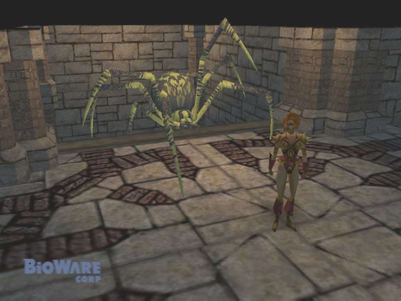 Neverwinter Nights - screenshot 51