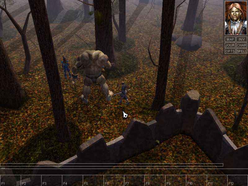 Neverwinter Nights - screenshot 39
