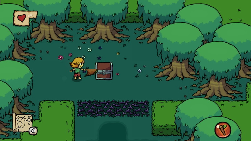 Ittle Dew - screenshot 4