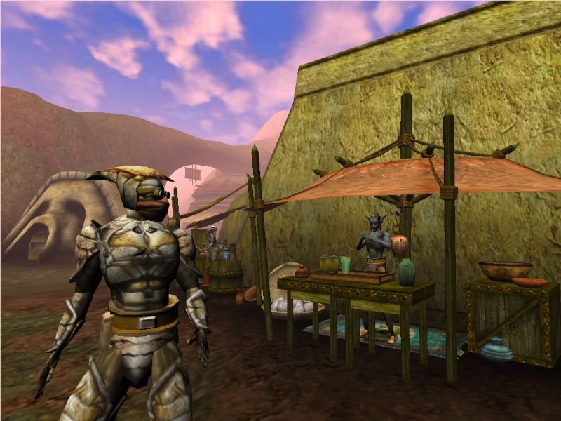 The Elder Scrolls 3: Morrowind - screenshot 28