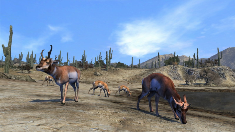 Cabela's Big Game Hunter: Pro Hunts - screenshot 24