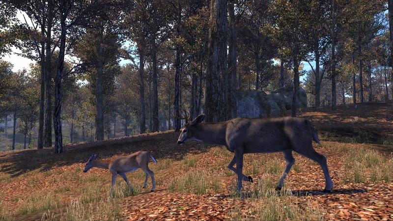 Cabela's Big Game Hunter: Pro Hunts - screenshot 22