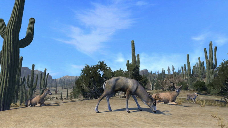 Cabela's Big Game Hunter: Pro Hunts - screenshot 17