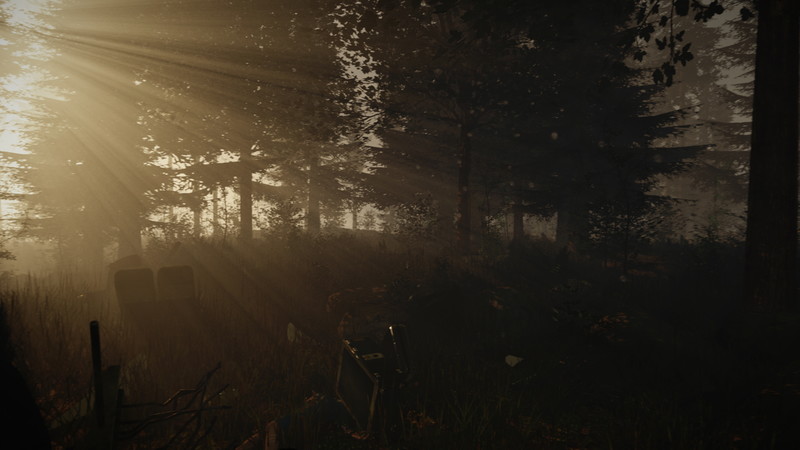 The Forest - screenshot 17