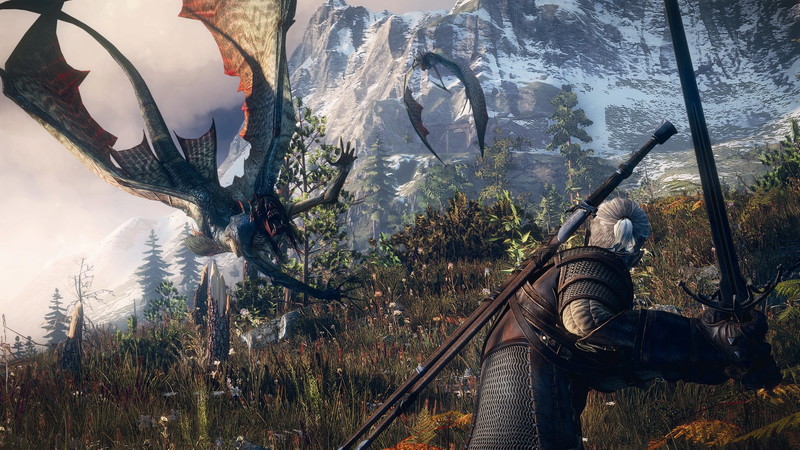 The Witcher 3: Wild Hunt - screenshot 53