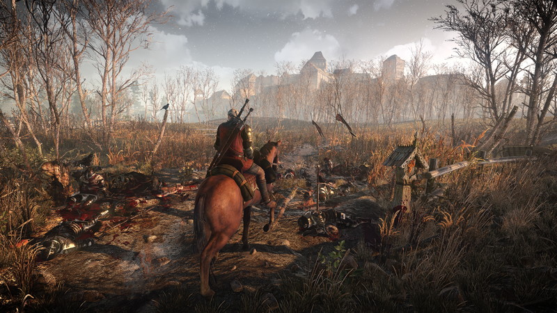 The Witcher 3: Wild Hunt - screenshot 46