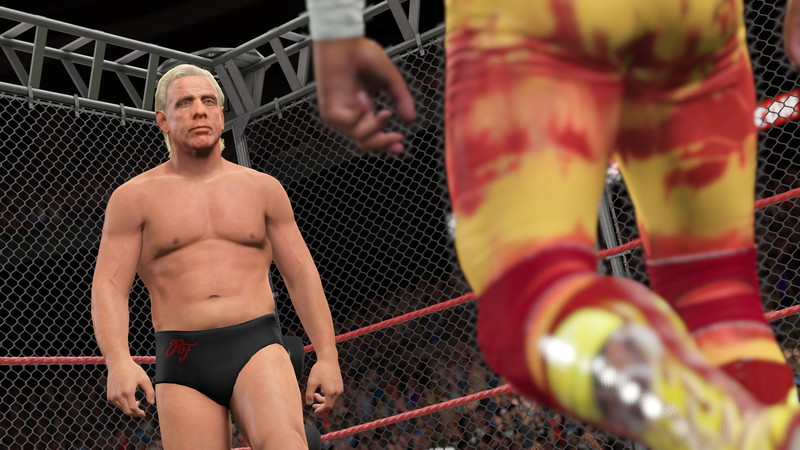 WWE 2K15 - screenshot 21