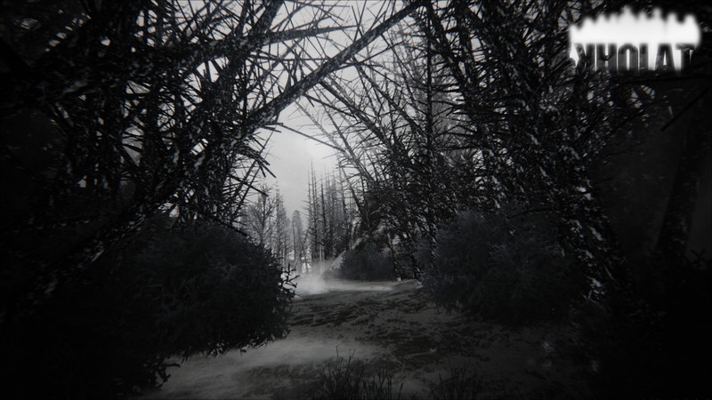 Kholat - screenshot 24