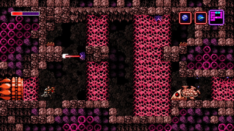 Axiom Verge - screenshot 1