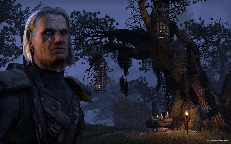 The Elder Scrolls Online: Tamriel Unlimited - screenshot 37