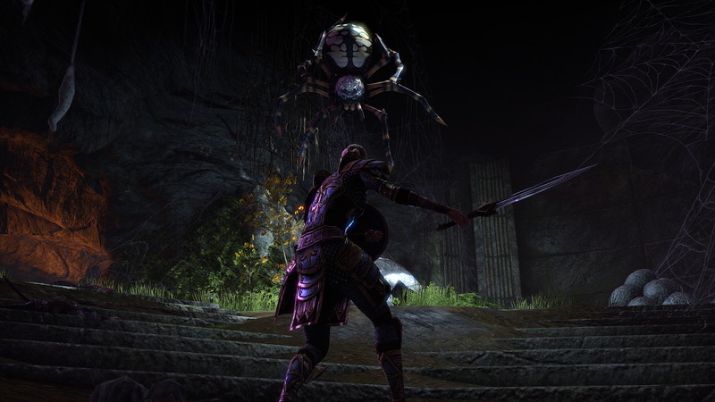 The Elder Scrolls Online: Tamriel Unlimited - screenshot 20