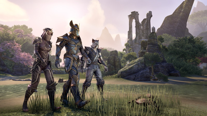 The Elder Scrolls Online: Tamriel Unlimited - screenshot 14