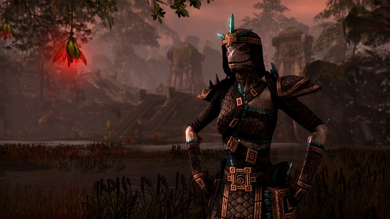 The Elder Scrolls Online: Tamriel Unlimited - screenshot 12