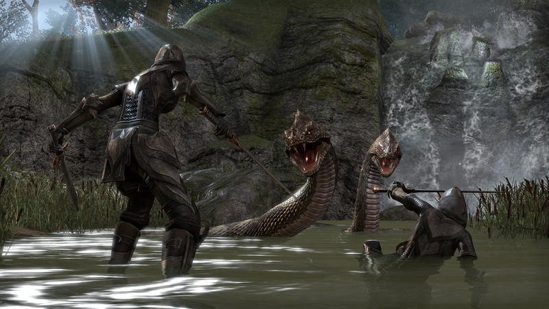 The Elder Scrolls Online: Tamriel Unlimited - screenshot 8