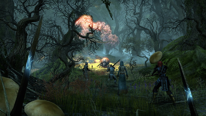 The Elder Scrolls Online: Tamriel Unlimited - screenshot 3