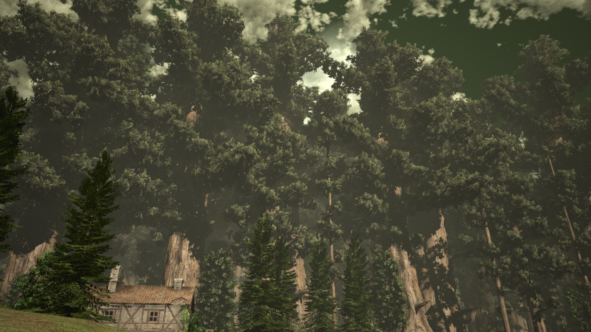 forest titan attacks