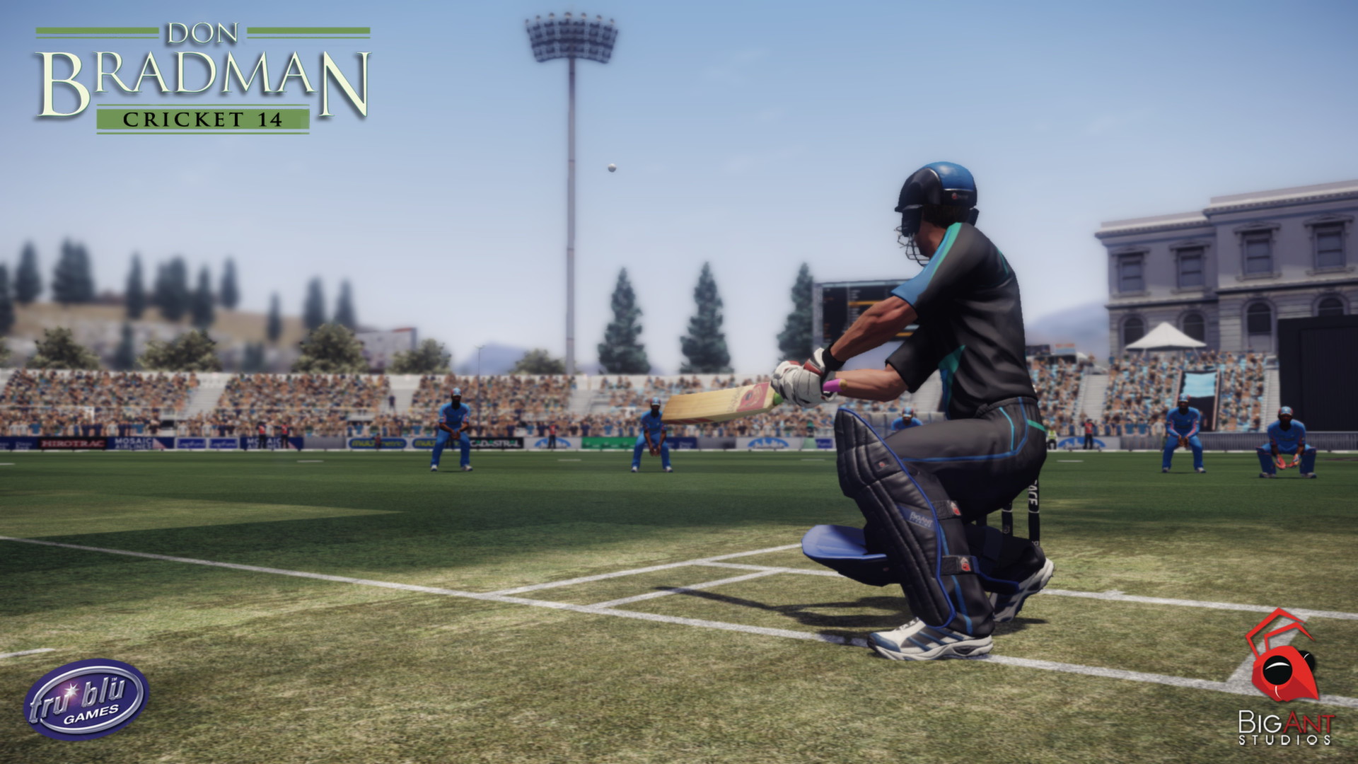 Don Bradman Cricket 14 - screenshot 6