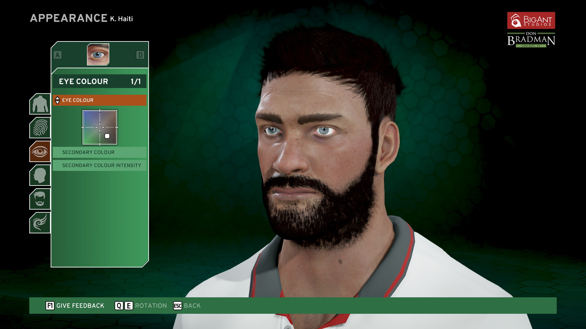 Don Bradman Cricket 17 - screenshot 6