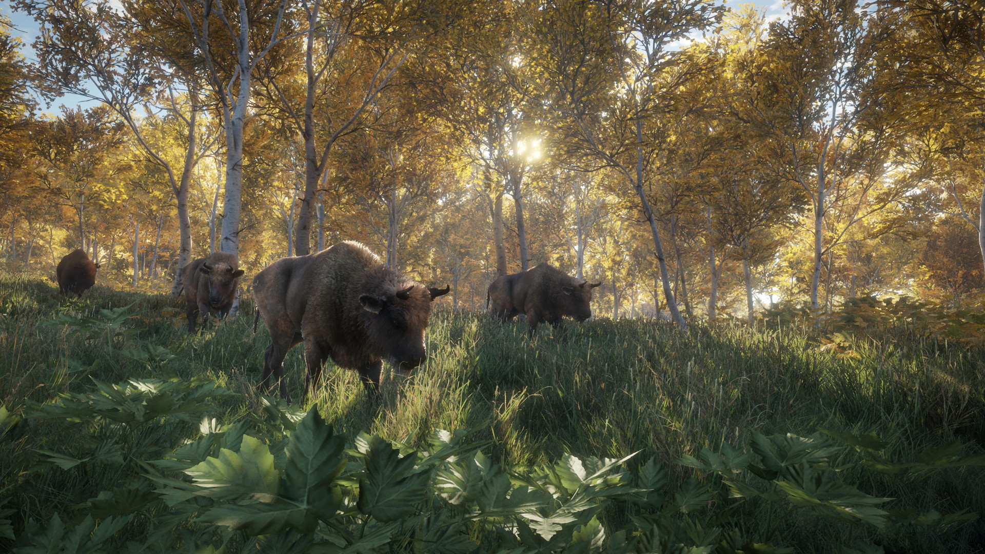 theHunter: Call of the Wild - screenshot 12