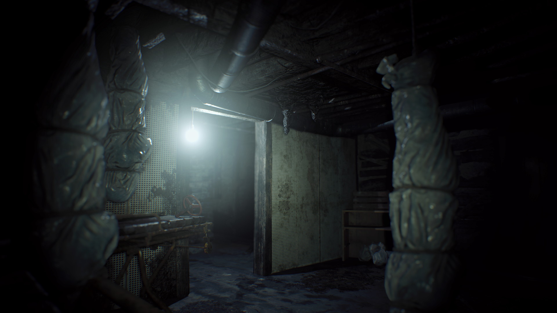 Resident Evil 7: Biohazard - screenshot 17