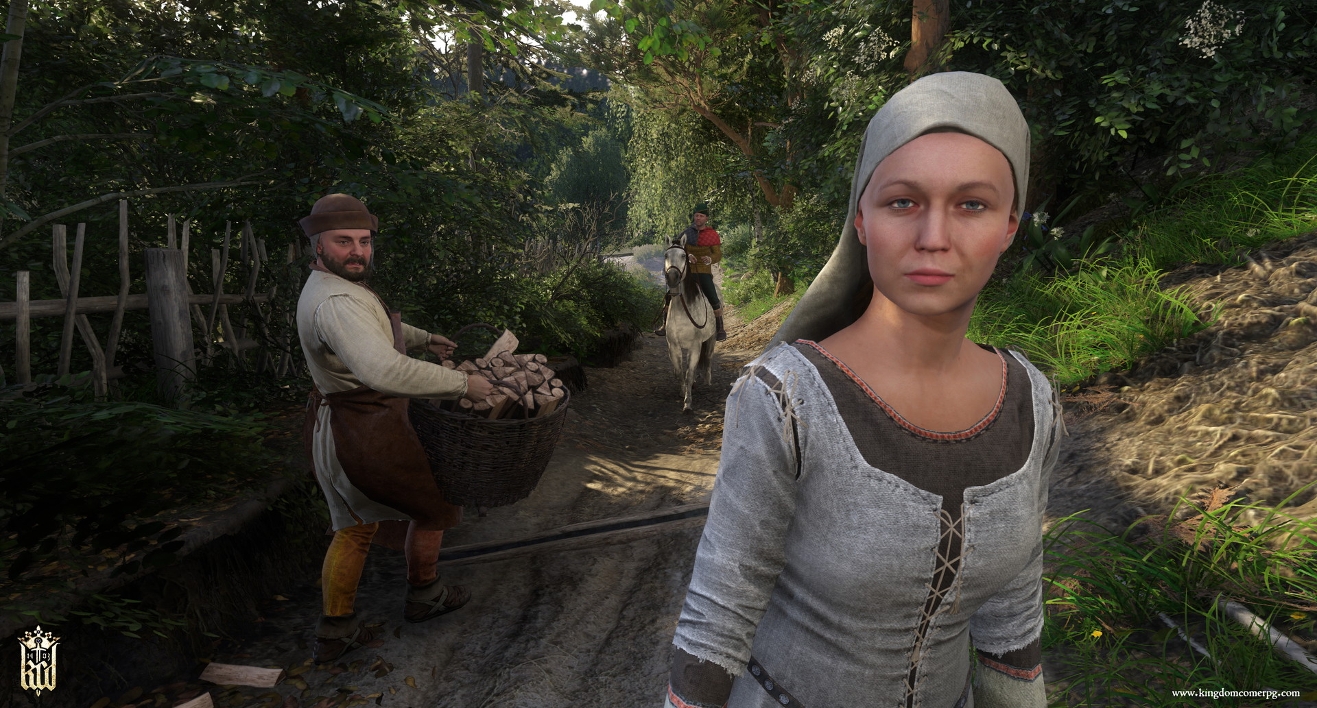 Kingdom come deliverance отрава как вылечить