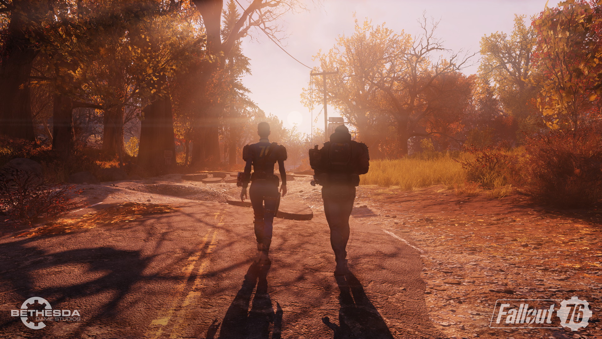 Fallout 76 не заходит на сервер