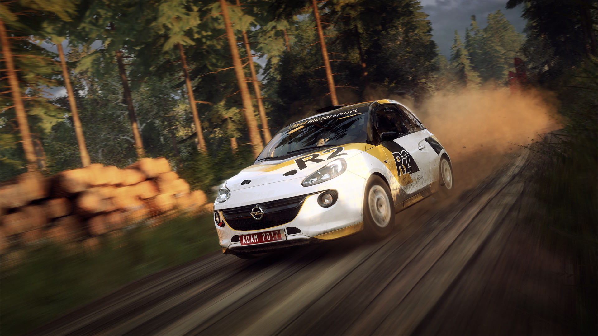 Dirt Rally 2.0 - screenshot 14