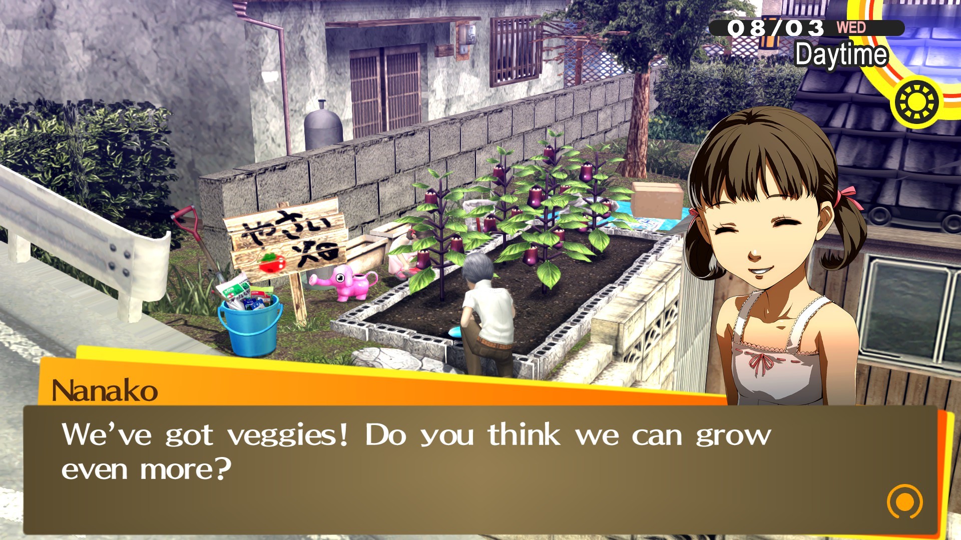 Persona 4 Golden - screenshot 12